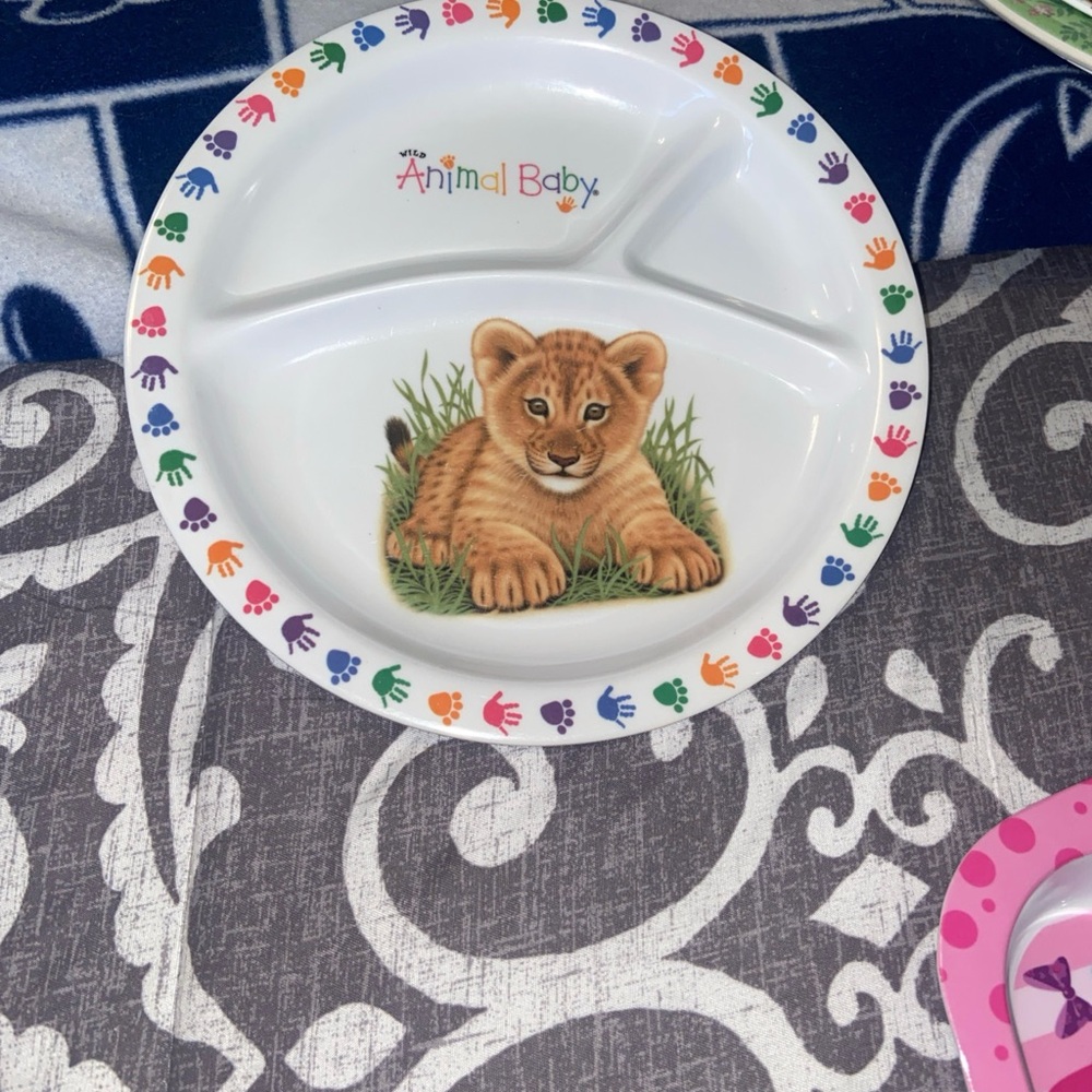 National Wildlife Federation RARE Wild Animal Baby- Baby Lion